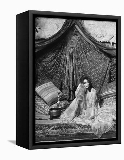 Une Belle Tigresse ZEE & CO by Brian Hutton with Elizabeth Taylor, 1972 (b/w photo)-null-Framed Stretched Canvas