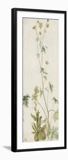 Une fleur-Albrecht Dürer-Framed Giclee Print