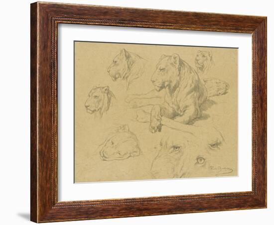 Une lionne couchée et sept études de sa tête-Rosa Bonheur-Framed Giclee Print