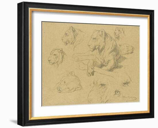 Une lionne couchée et sept études de sa tête-Rosa Bonheur-Framed Giclee Print