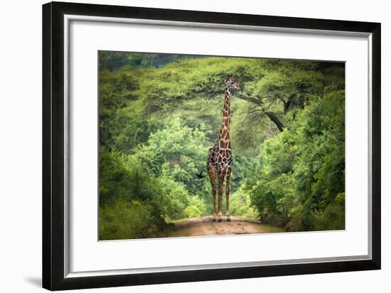 Unexpected Meeting-Kirill Trubitsyn-Framed Premium Photographic Print