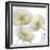 Unfocused Light 1-Albert Koetsier-Framed Photographic Print