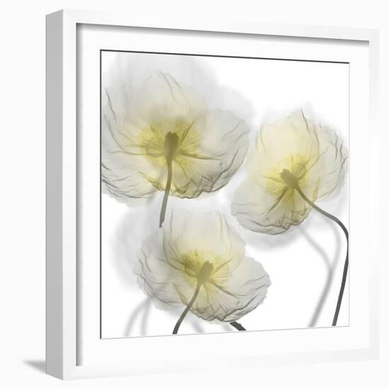 Unfocused Light 1-Albert Koetsier-Framed Photographic Print