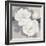 Unfolding Blossoms Detail 1-Ivo Stoyanov-Framed Art Print