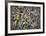 Unformed Figure, 1953          -Jackson Pollock-Framed Art Print