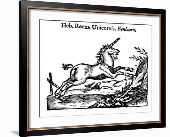 Unicorn, 1644-null-Framed Giclee Print