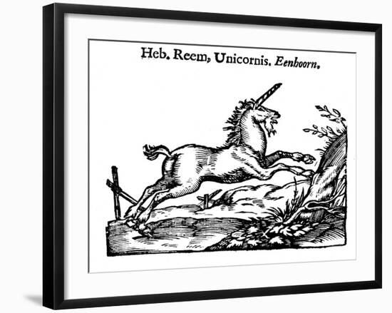 Unicorn, 1644-null-Framed Giclee Print
