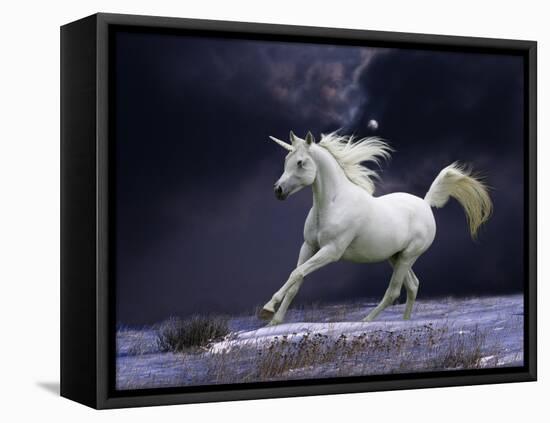 Unicorn 56-Bob Langrish-Framed Premier Image Canvas