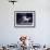 Unicorn 56-Bob Langrish-Framed Photographic Print displayed on a wall