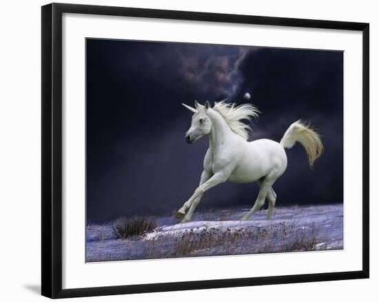 Unicorn 56-Bob Langrish-Framed Photographic Print