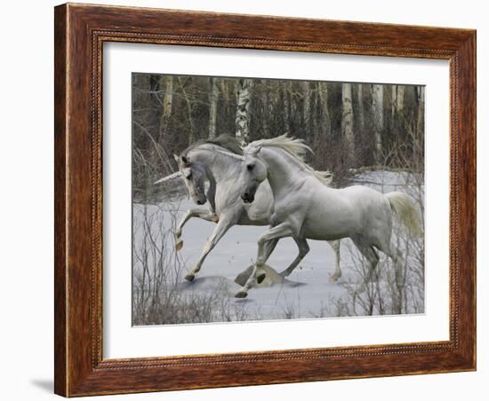 Unicorn 57-Bob Langrish-Framed Premium Photographic Print