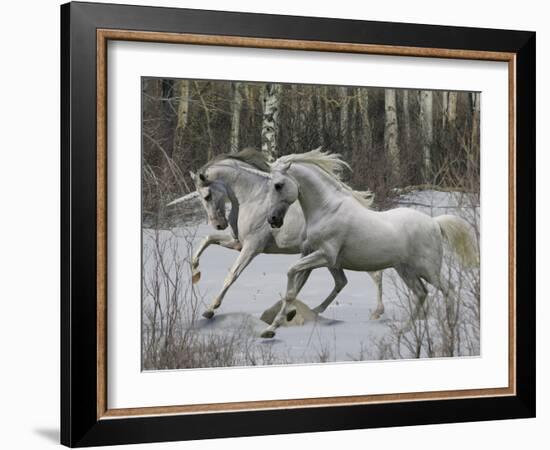 Unicorn 57-Bob Langrish-Framed Premium Photographic Print