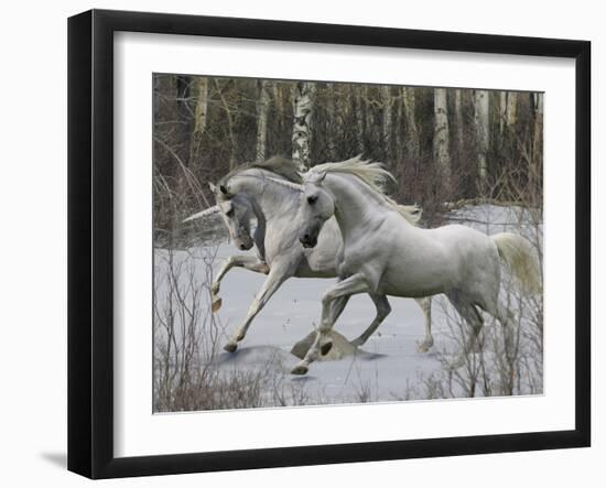 Unicorn 57-Bob Langrish-Framed Premium Photographic Print