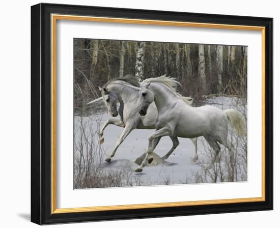 Unicorn 57-Bob Langrish-Framed Premium Photographic Print