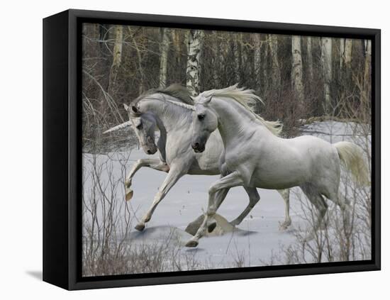 Unicorn 57-Bob Langrish-Framed Premier Image Canvas