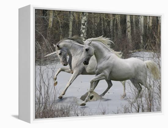 Unicorn 57-Bob Langrish-Framed Premier Image Canvas