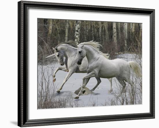 Unicorn 57-Bob Langrish-Framed Photographic Print