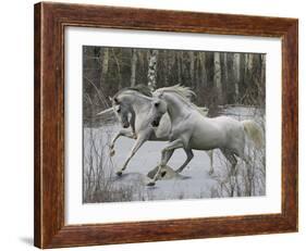 Unicorn 57-Bob Langrish-Framed Photographic Print