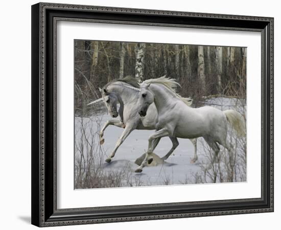 Unicorn 57-Bob Langrish-Framed Photographic Print