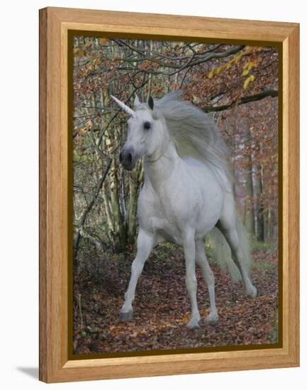 Unicorn 61-Bob Langrish-Framed Premier Image Canvas