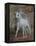 Unicorn 61-Bob Langrish-Framed Premier Image Canvas