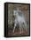 Unicorn 61-Bob Langrish-Framed Premier Image Canvas