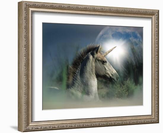 Unicorn 63-Bob Langrish-Framed Photographic Print