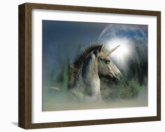 Unicorn 63-Bob Langrish-Framed Photographic Print