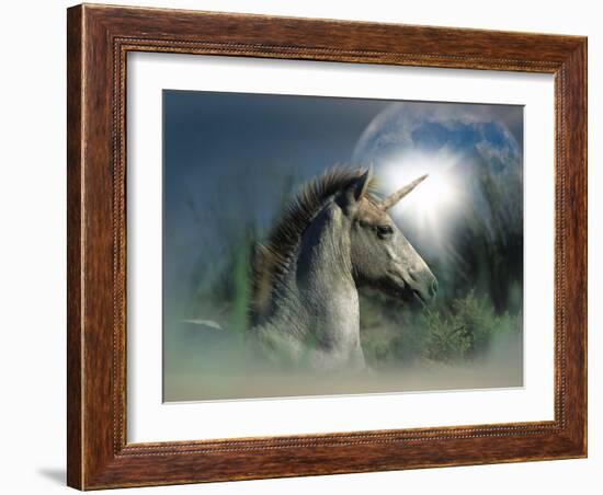 Unicorn 63-Bob Langrish-Framed Photographic Print