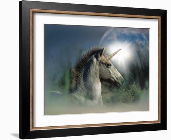 Unicorn 63-Bob Langrish-Framed Photographic Print