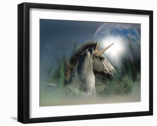 Unicorn 63-Bob Langrish-Framed Photographic Print