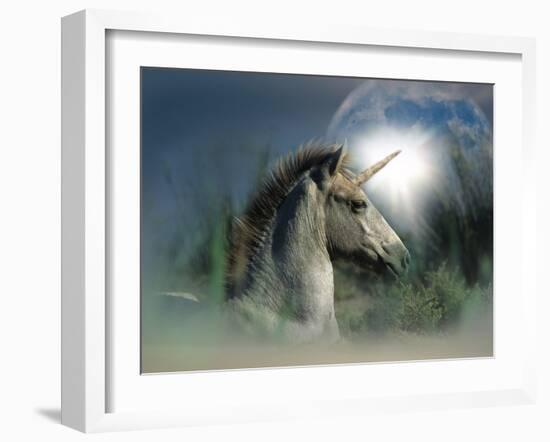 Unicorn 63-Bob Langrish-Framed Photographic Print