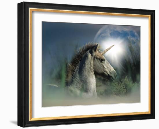 Unicorn 63-Bob Langrish-Framed Photographic Print