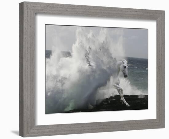 Unicorn 64-Bob Langrish-Framed Photographic Print