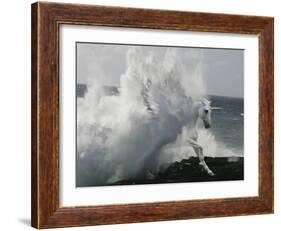 Unicorn 64-Bob Langrish-Framed Photographic Print