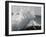 Unicorn 64-Bob Langrish-Framed Photographic Print