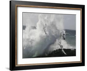 Unicorn 64-Bob Langrish-Framed Photographic Print