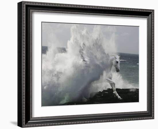 Unicorn 64-Bob Langrish-Framed Photographic Print