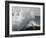 Unicorn 64-Bob Langrish-Framed Photographic Print