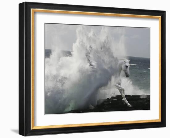 Unicorn 64-Bob Langrish-Framed Photographic Print