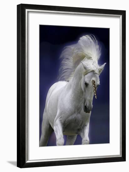 Unicorn 65-Bob Langrish-Framed Photographic Print
