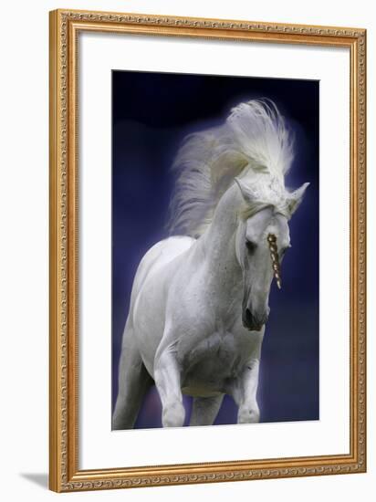 Unicorn 65-Bob Langrish-Framed Photographic Print