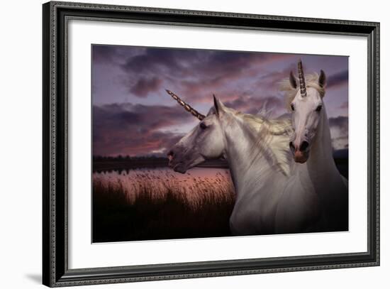 Unicorn 70-Bob Langrish-Framed Photographic Print