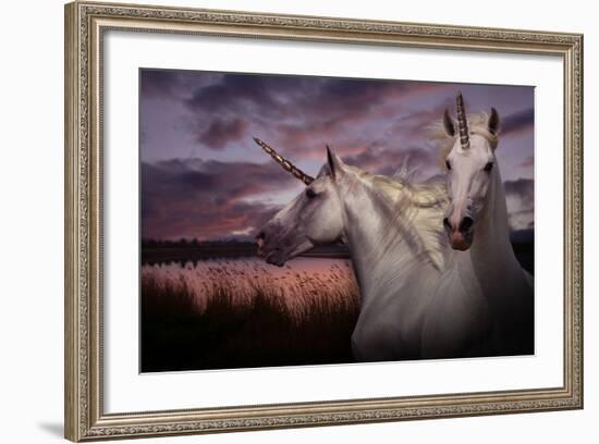 Unicorn 70-Bob Langrish-Framed Photographic Print