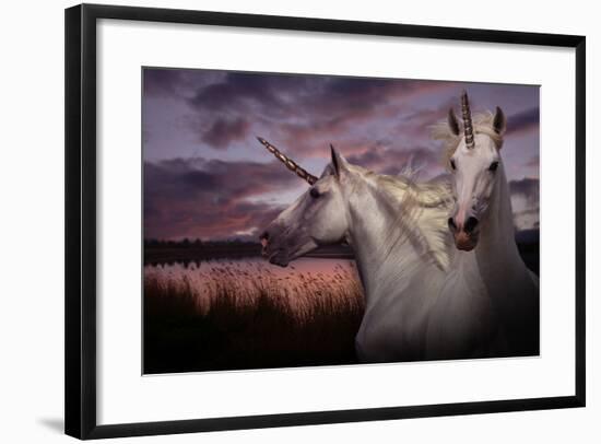 Unicorn 70-Bob Langrish-Framed Photographic Print