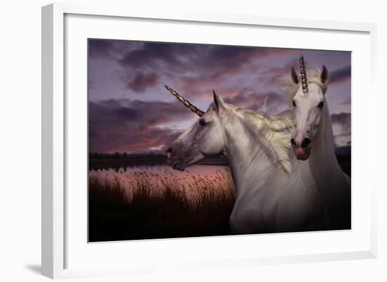 Unicorn 70-Bob Langrish-Framed Photographic Print