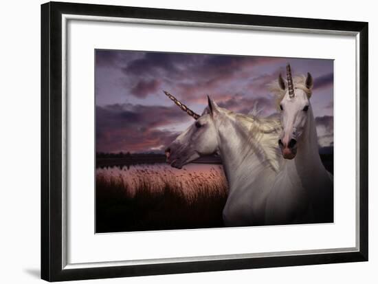 Unicorn 70-Bob Langrish-Framed Photographic Print