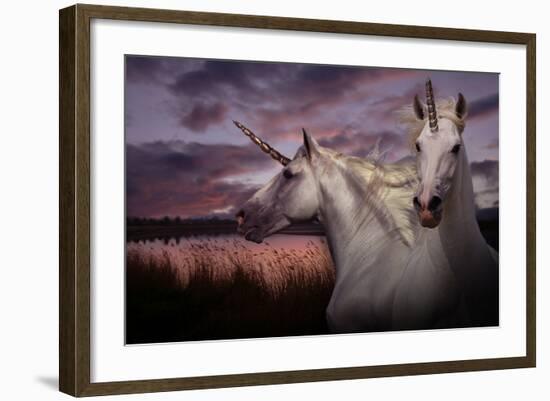 Unicorn 70-Bob Langrish-Framed Photographic Print