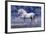 Unicorn 80-Bob Langrish-Framed Photographic Print