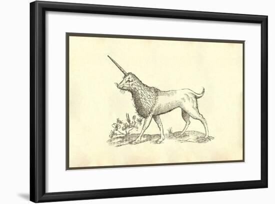 Unicorn (Camphurch Effigies)-Ulisse Aldrovandi-Framed Art Print